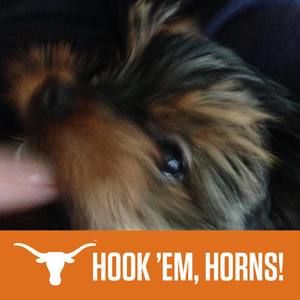 Meet your Posher, Barbara